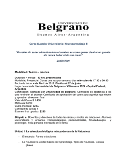 Curso Superior Universitario: Neuroaprendizaje II - Asociaci&oacute;n de