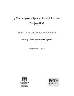 &iquest;C&oacute;mo participa la localidad de Tunjuelito? - Instituto de Estudios