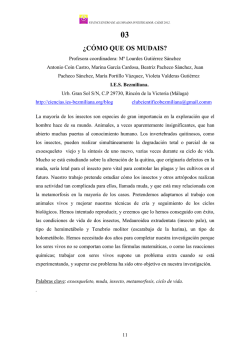 &iquest;C&Oacute;MO QUE OS MUDAIS? - acceda.com