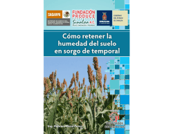 RP Sorgo entarquinamiento 2012.pdf - Fundaci&oacute;n Produce Sinaloa