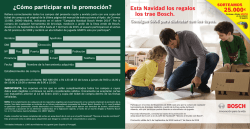 Download (PDF - 256,3 kB) - Bosch-do-it.com