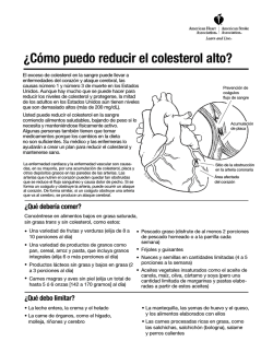 &iquest;C&oacute;mo puedo reducir el colesterol alto?