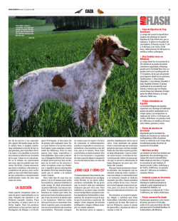 LA ELECCI&Oacute;N &iquest;C&Oacute;MO CAZA Y C&Oacute;MO ES? - Mundo Deportivo