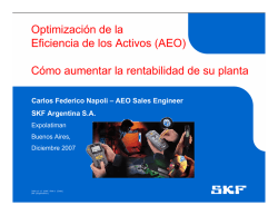 Optimizaci&oacute;n de la Eficiencia de los Activos (AEO) C&oacute;mo aumentar