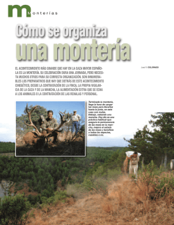 C&oacute;mo se organiza - Yeswehunt