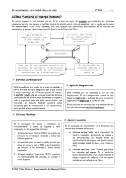 &iquest;C&oacute;mo funciona el cuerpo humano? - IES Pablo Picasso