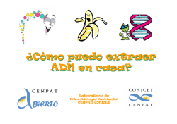 Extracci&oacute;n de ADN.pdf - cenpat