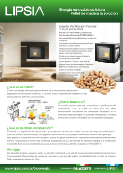 &iquest;Qu&eacute; es el Pellet? &iquest;C&oacute;mo funciona? &iquest;Que es la doble - Lipsia SA