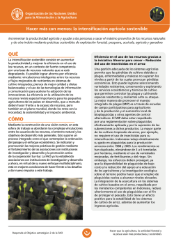 QU&Eacute; C&Oacute;MO