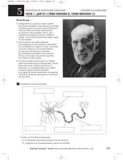 FICHA 1: &iquest;QU&Eacute; ES Y C&Oacute;MO FUNCIONA EL TEJIDO NERVIOSO? (I)