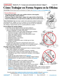 C&oacute;mo Trabajar en Forma Segura en la Oficina - Gempler's
