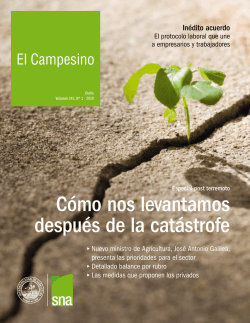 C&oacute;mo nos levantamos despu&eacute;s de la cat&aacute;strofe - Sociedad