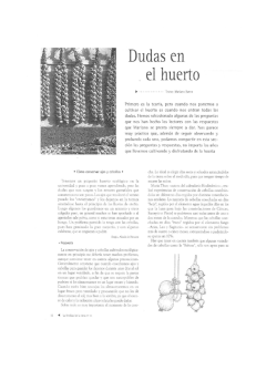 0 C&oacute;mo conservar ajos y cebollas v