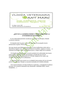 &iquest;QU&Eacute; ES LA LEISHMANIOSIS Y C&Oacute;MO ADQUIERE LA