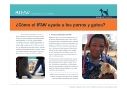 &iquest;C&oacute;mo el IFAW ayuda a los perros y gatos?