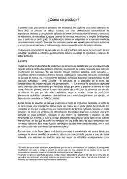 &iquest;C&oacute;mo se produce - Cambalache