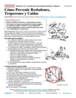 C&oacute;mo Prevenir Resbalones, Tropezones y Ca&iacute;das - Gempler's