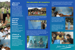 &iquest;Qu&eacute; es la Malaria? &iquest;Cu&aacute;ntos tipos de Malaria existen? &iquest;C&oacute;mo se