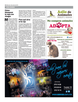 Para qu&eacute; sirve el t&eacute; rojo C&oacute;mo blanquear la ropa con vinagre