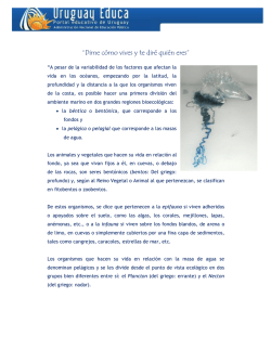 &ldquo;Dime c&oacute;mo vives y te dir&eacute; qui&eacute;n eres&rdquo; - Uruguay Educa