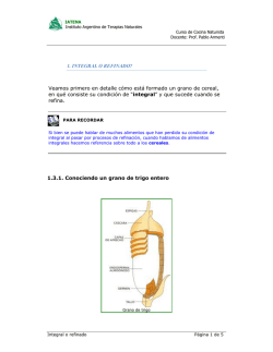 1. INTEGRAL O REFINADO? Veamos primero en detalle c&oacute;mo est&aacute;