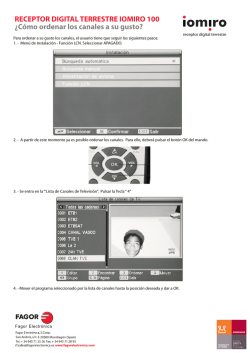 RECEPTOR DIGITAL TERRESTRE IOMIRO 100 &iquest;C&oacute;mo ordenar los