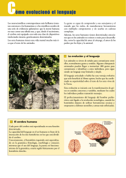 C&oacute;mo evolucion&oacute; el lenguaje