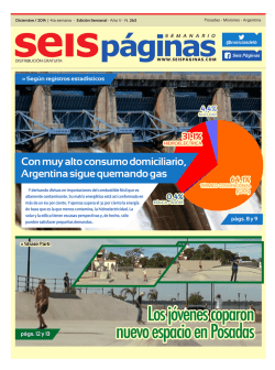 Los j&oacute;venes coparon nuevo espacio en Posadas - SeisPaginas