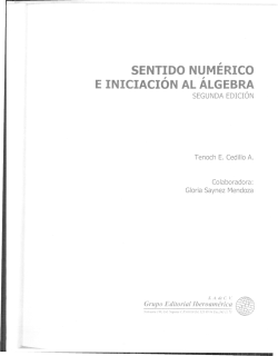 SENTIDO NUMERICO E INICIACION AL ALGEBRA - dgespe