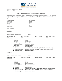 Acta Planificaci&oacute;n Naviera - Puerto Angamos
