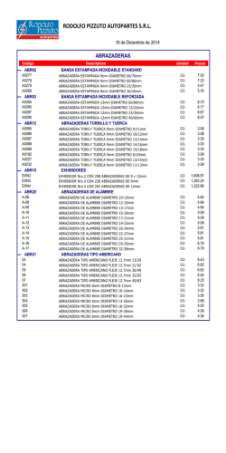 RODOLFO PIZZUTO AUTOPARTES S.R.L.
