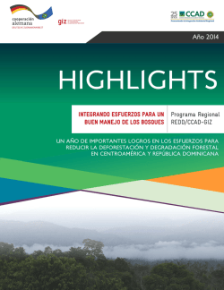 Un a&ntilde;o de importantes logros en los esfuerzos para reducir la