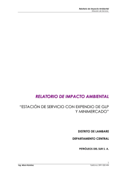 RELATORIO DE IMPACTO AMBIENTAL - seam