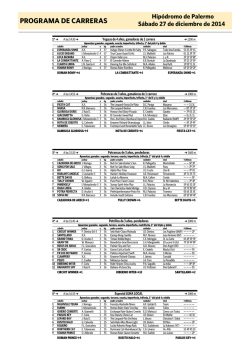 PROGRAMA DE CARRERAS
