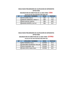 N&ordm; APELLIDOS Y NOMBRES NIVEL PUNTAJE 1 - UGEL PUNO