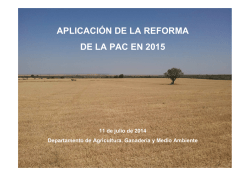 aplicaci&oacute;n de la reforma de la pac en 2015