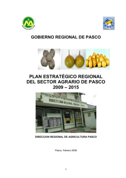 plan estrat&eacute;gico regional del sector agrario de pasco 2009 &ndash; 2015