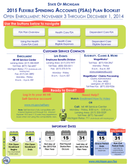 FSA Plan Booklet - State of Michigan