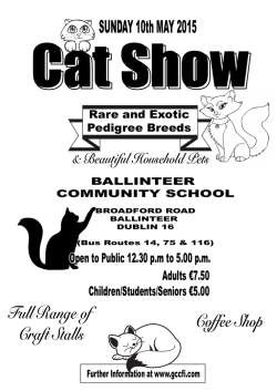 Supreme Show Poster 2015 A4