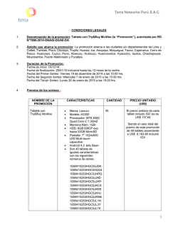 Terra Networks Per&uacute; S.A.C. 1