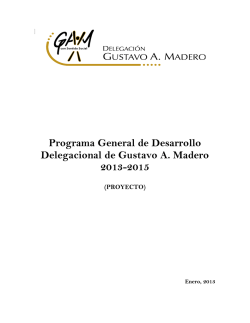 PROGRAMA DELEGACIONAL 2013-2015