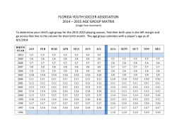florida youth soccer association 2014 &ndash; 2015 age group matrix