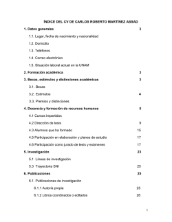 1 &Iacute;NDICE DEL CV DE CARLOS ROBERTO MART&Iacute;NEZ ASSAD 1