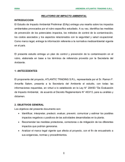 RELATORIO DE IMPACTO AMBIENTAL INTRODUCCION El - seam
