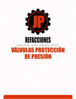 V&Aacute;LVULAS PROTECCI&Oacute;N DE PRESI&Oacute;N