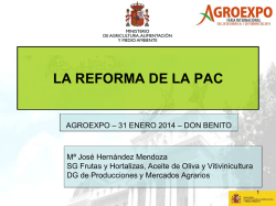 acuerdos conferencia sectorial - Casil