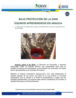 002 Bajo protecci&oacute;n de la DIAN equinos aprehendidos en Arauca
