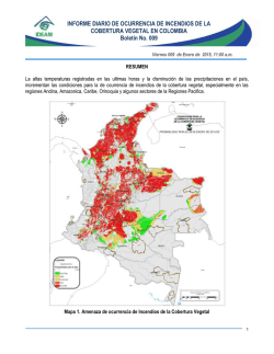 Informe Diario Incendios