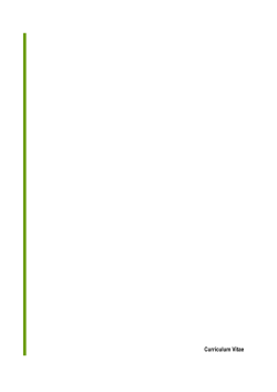 Curriculum Vitae 2015 - Paula Odriozola
