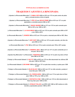 otros ajustes y briseos la rinconada - elmacacohipico.com